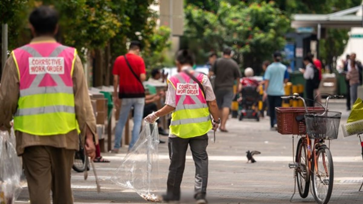 Singapore may publicise images of litterbugs to catch offenders