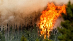 Drivers told to stop pulling over to take photos of B.C. wildfires