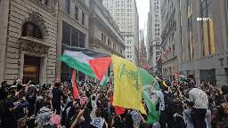 Hezbollah and Hamas flags waved during pro-Palestinian demonstration in New York