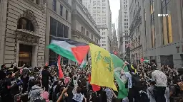 Hezbollah and Hamas flags waved during pro-Palestinian demonstration in New York