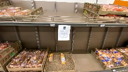 Chicago Aldi Shoppers Finding Bare Shelves, Empty Freezers At North Side Stores