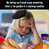 I hope language learning memes are okay