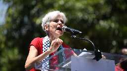 Jill Stein leads Harris, Trump among some Muslim-American swing state voters, report shows