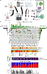 Researchers build first large-scale atlas of how immune cells react to mutations during cancer immunotherapy