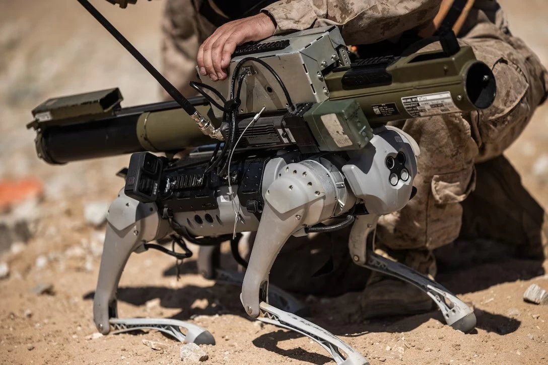 Marines Test Rocket-Carrying 'Robotic Goat' at Twentynine Palms