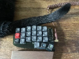 [@ergomechkeyboards](https://lemmy.world/c/ergomechkeyboards) Num row feels different today but cat tail why.