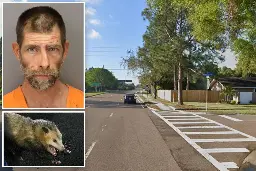 Florida man arrested for pooping on dead possum during rush hour traffic