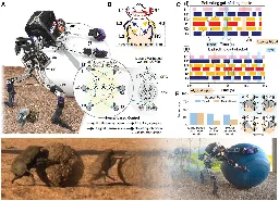 Robot designed to mimic the abilities of dung beetle displays impressive object manipulation skills