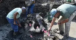 13,600-year-old mastodon skull found in Iowa creek