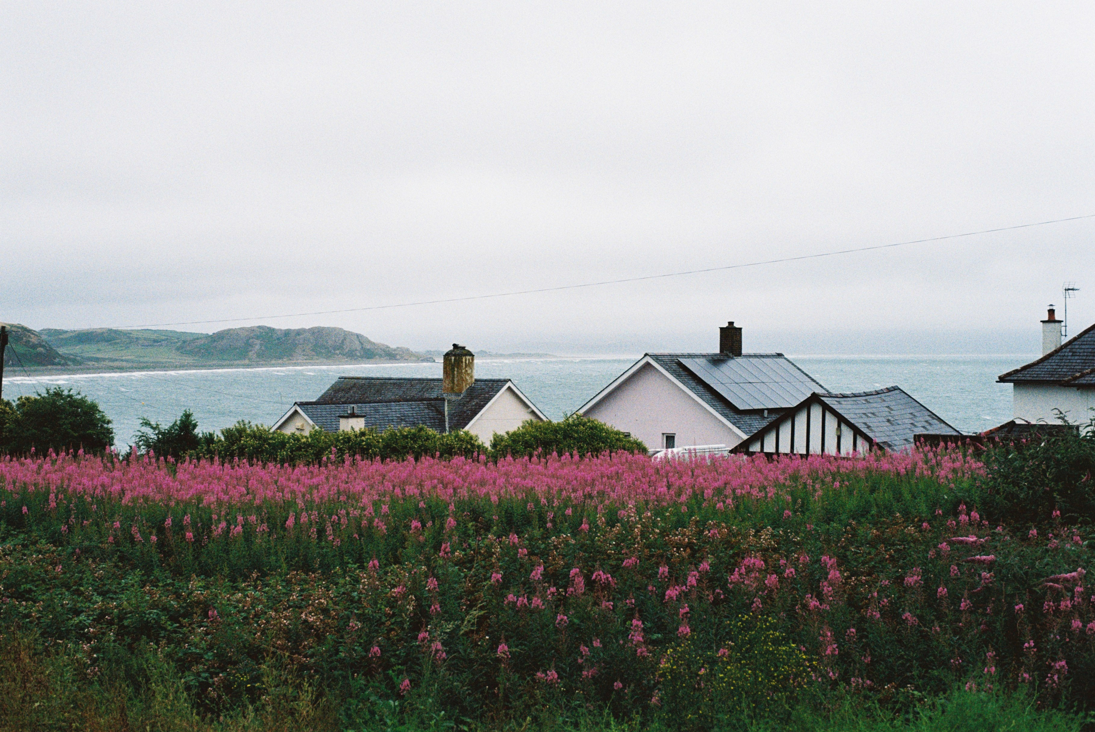 Criccieth in Wales, Minolta x300 - 50mm 1.7 - kodak ultramax 400