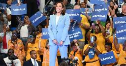 DNC kicks off virtual roll call vote to formally nominate Kamala Harris for president