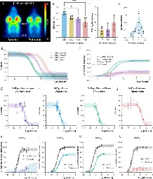 Repeated low doses of psilocybin increase resilience to stress, lower compulsive actions, and strengthen cortical connections to the paraventricular thalamic nucleus in rats - Molecular Psychiatry