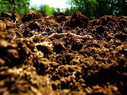 Qu’est-ce que l’agriculture de conservation, cette solution pour vivre avec la sécheresse ?