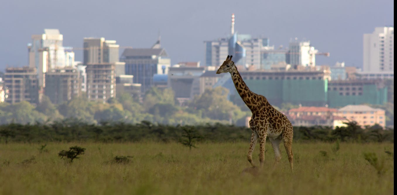 As human population grows, people and wildlife will share more living spaces around the world