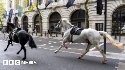 Four injured after runaway military horses bolted in central London