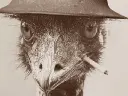 the_kung_fu_emu