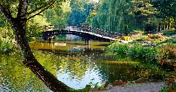 Botanical gardens can cool city air by an average of 5 °C