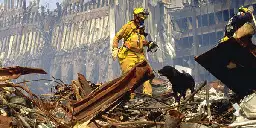 Remembering the Hero Dogs of September 11th