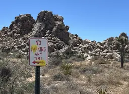 German tourists shoot paintballs all over Joshua Tree national park