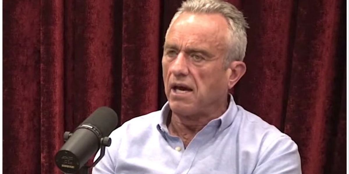 Reporters bust RFK Jr.'s historically illiterate complaint about not being given Secret Service protection