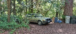 My girlfriend's Mk2, parked in some trees