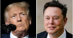 Trump Actually Said He Would Appoint Elon Musk To Cabinet If Elected