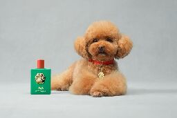 An ‘olfactory masterpiece’: Dolce &amp; Gabbana launches perfume for dogs