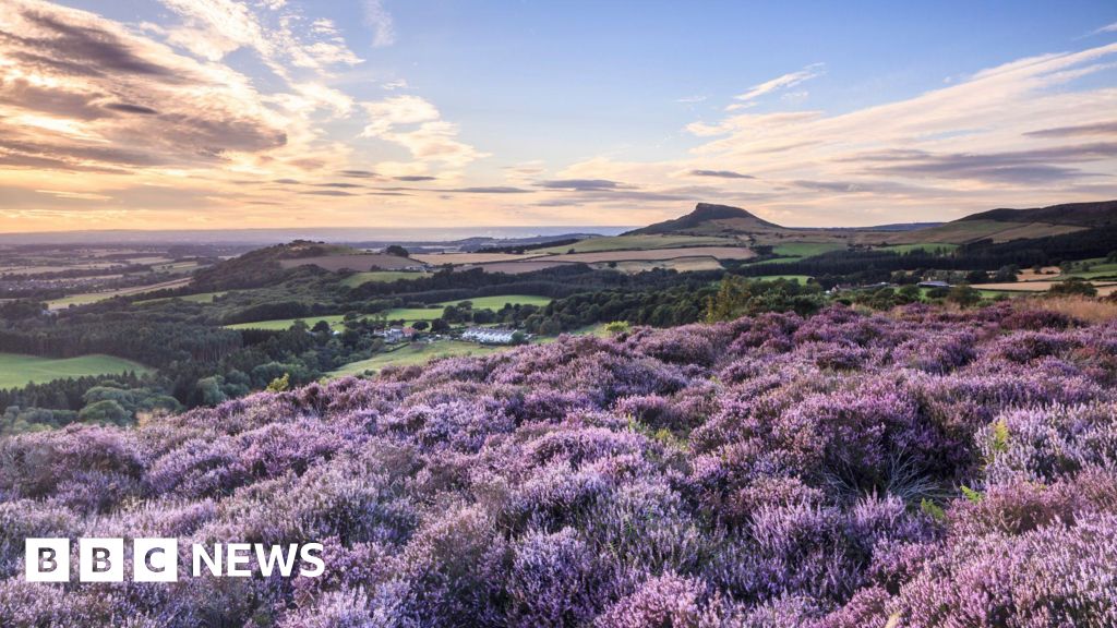 Nature fight 'needs more national park land held in public hands'