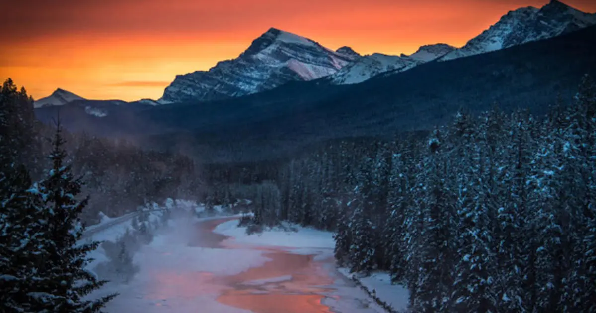 Grizzly bear kills couple and their dog at Banff National Park in Canada