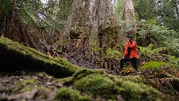 Conservationists call Gandalf's Staff one of Australia's natural marvels. But very few to get to see it