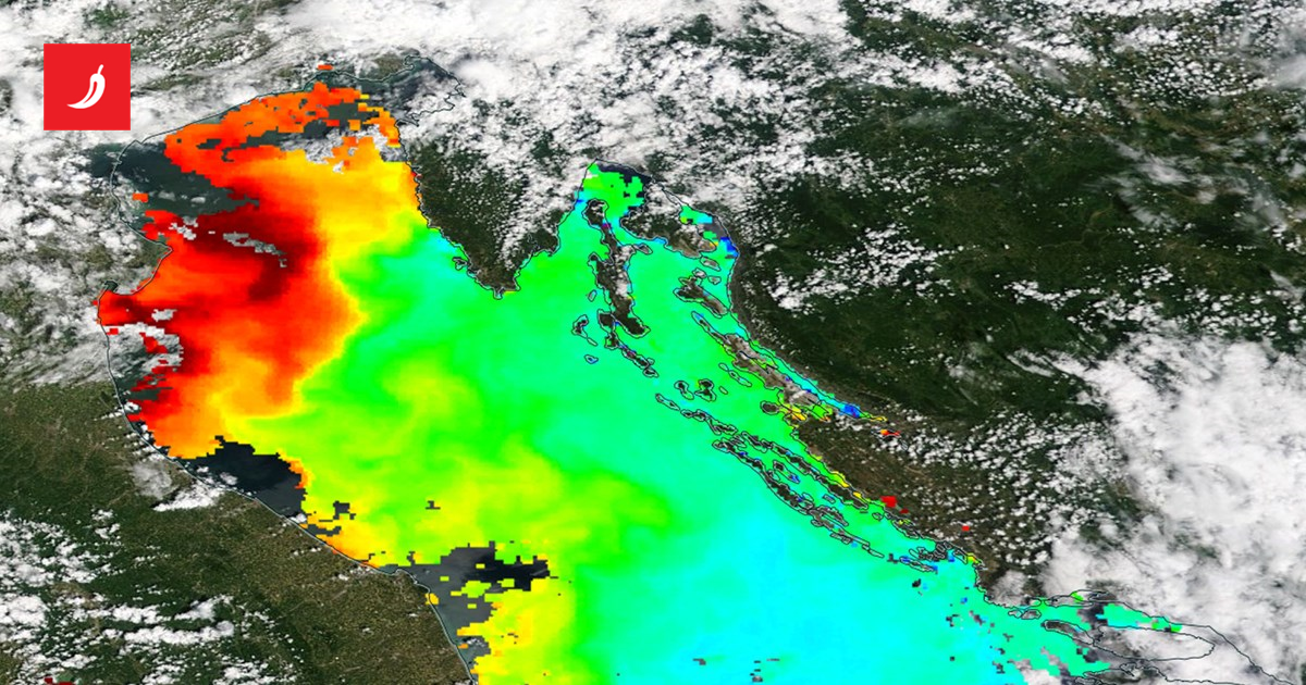 Jadran se guši u najviše sluzi od 2004. U čemu je problem i kada će to prestati?