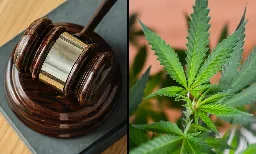 Marijuana Rescheduling Process 'Supports The Rationality' Of Federal Prohibition, DOJ Argues In Hearing On Cannabis Businesses' Lawsuit - Marijuana Moment
