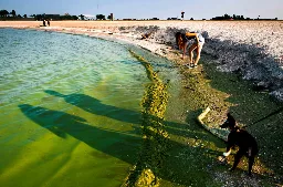 Climate Change Contributes to Shift in Lake Erie’s Harmful Algal Blooms - Inside Climate News