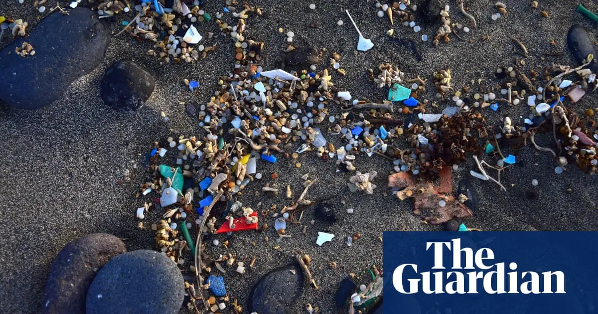 Microplastics found in every human placenta tested in study