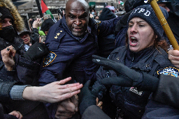 The NYPD's Escalating Crackdown on Pro-Palestine Protests Falls 'Outside the Bounds of the Constitution' - Hell Gate