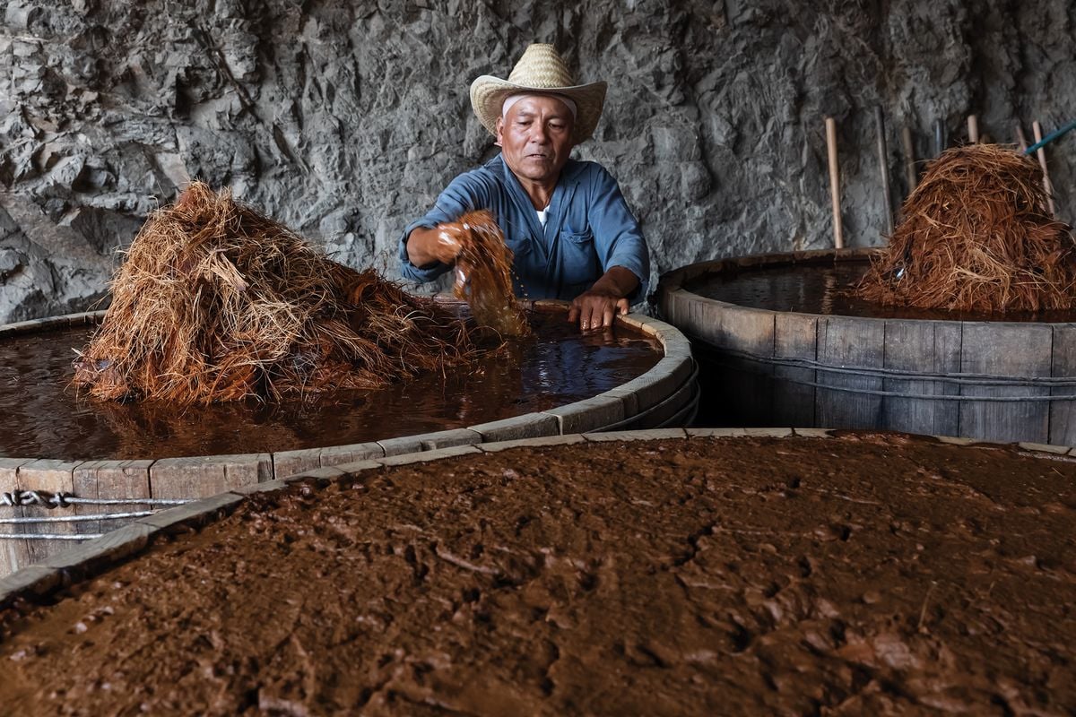 The Race to Save Mezcal From the World