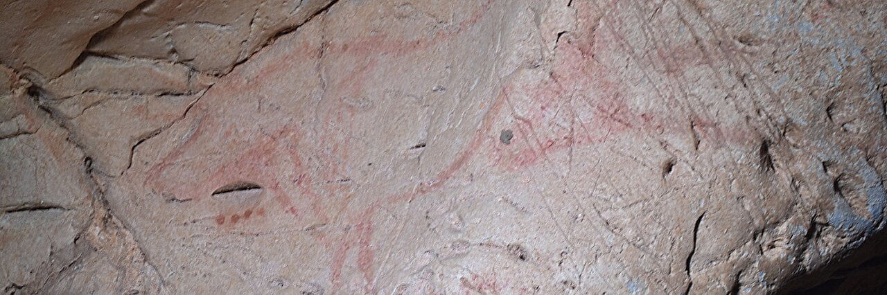 Understanding the role of pareidolia in early human cave art