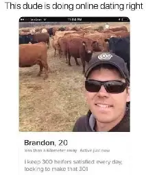 the background blur