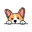 corgi