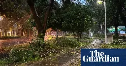 Nearly 50,000 still without power in Townsville in wake of ex-Tropical Cyclone Kirrily as clean-up begins