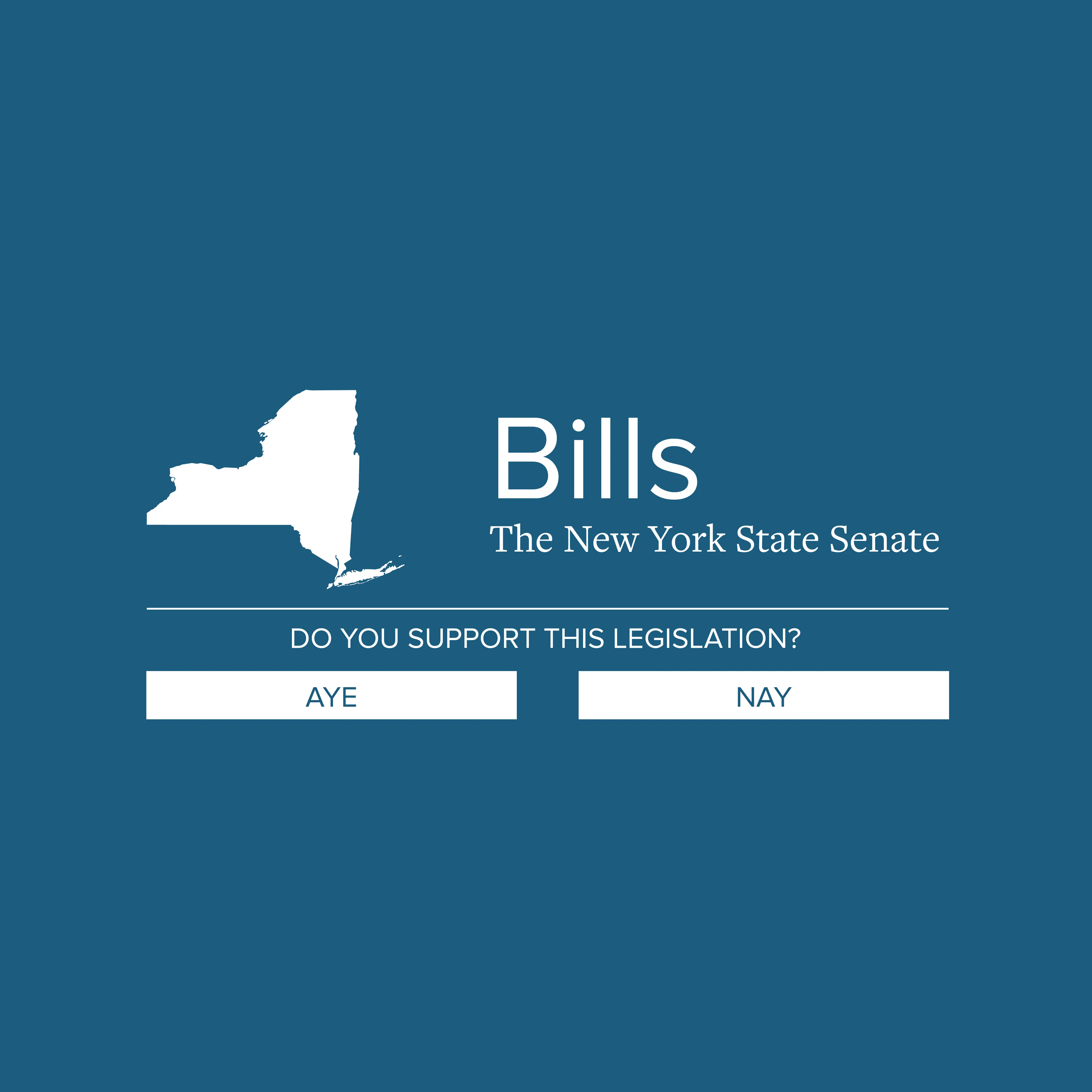 NY State Assembly Bill 2023-A8132