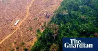 Amazon deforestation falls over 60% compared with last July, says Brazilian minister