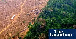 Amazon deforestation falls over 60% compared with last July, says Brazilian minister