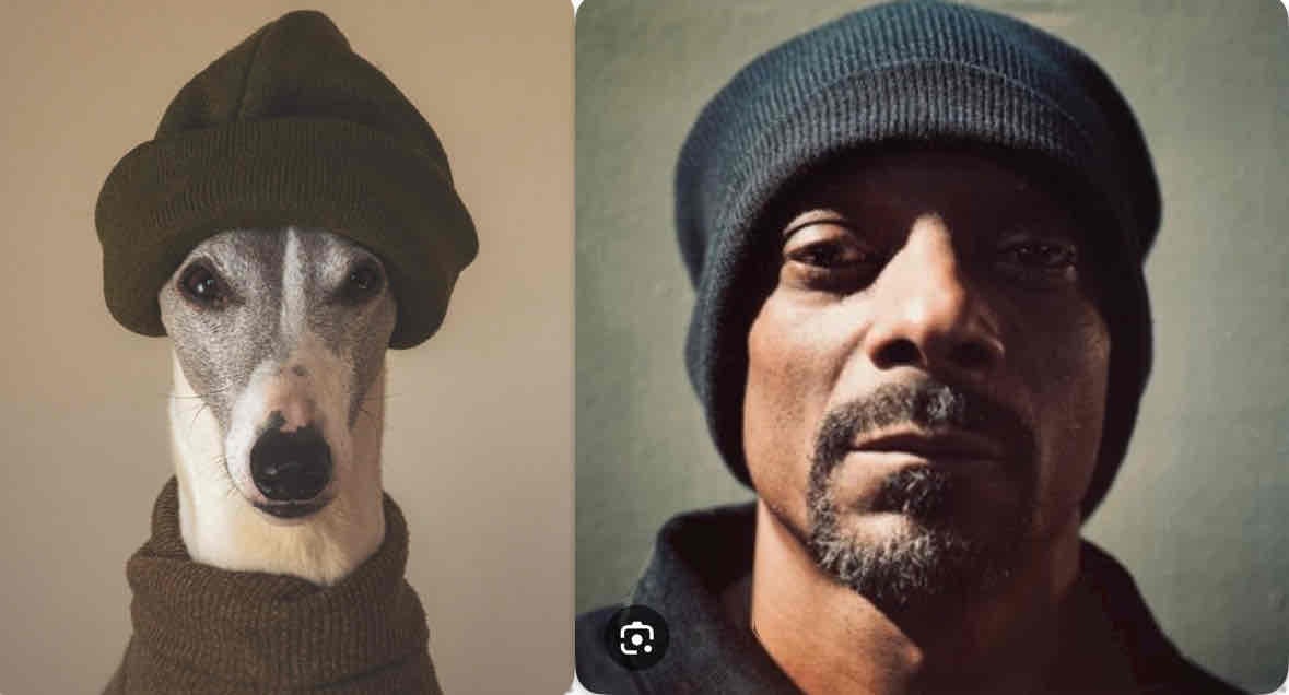 comparison of dog and Snoop Dogg wearing a beanie