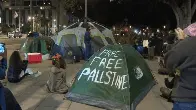 Pro-Palestinian encampment established outside Los Angeles City Hall