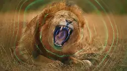 "Secret World of Sound with David Attenborough" Documentary on Netflix: Unveiling the Symphony of Animal Communication