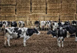 The Livestock Industry’s “Climate Neutral” Claims Are Too Good To Be True