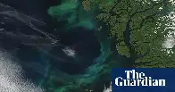 World’s oceans changing colour due to climate breakdown, study suggests