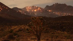 ‘Heart-wrenching': California's York Fire hurting habitats, hearts and lungs