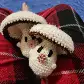 amigurumi